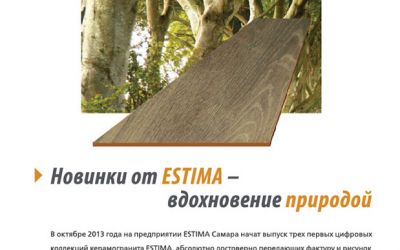 Рекламный модуль «ESTIMA DIGITAL»
